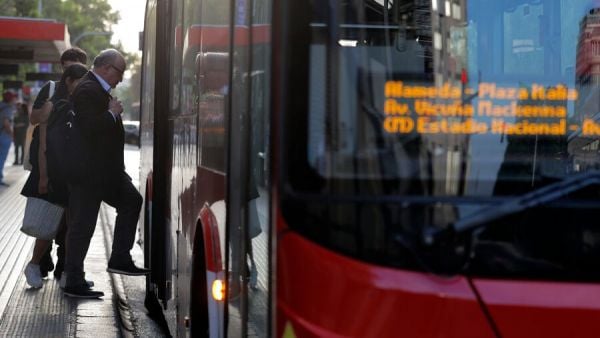 Transporte público Primarias 2025. Bus RED