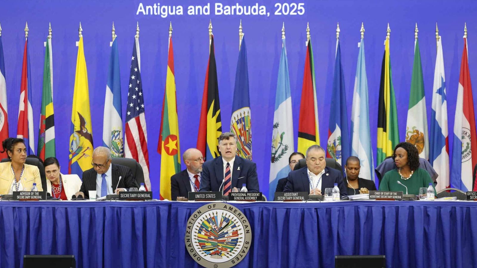 OEA, Organización de Estados Americanos
