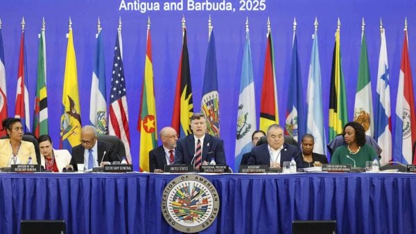 OEA, Organización de Estados Americanos