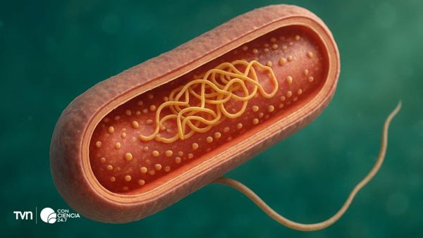 Celula, ilustración creada con ChatGPT.