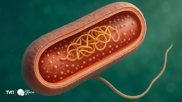 Celula, ilustración creada con ChatGPT.