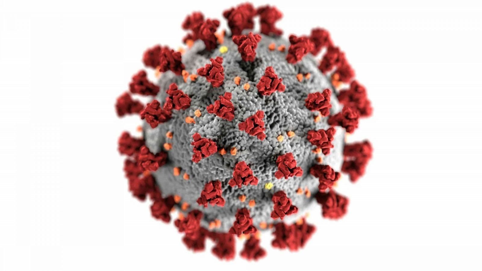 Representación del virus del COVID-19
