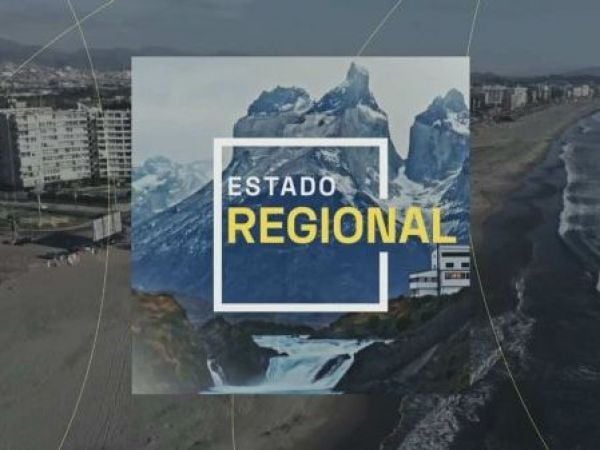 Estado Regional