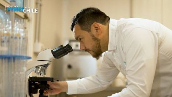 Kimun Biotec: suplemento alimenticio en base a plantas nativas