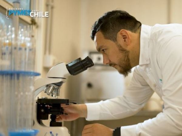 Kimun Biotec: suplemento alimenticio en base a plantas nativas