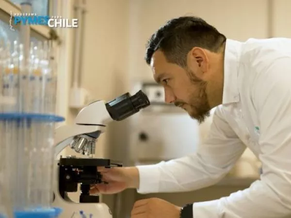 Kimun Biotec: suplemento alimenticio en base a plantas nativas