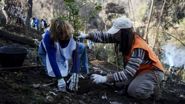 Se plantan especies nativas en el Jardín Botánico