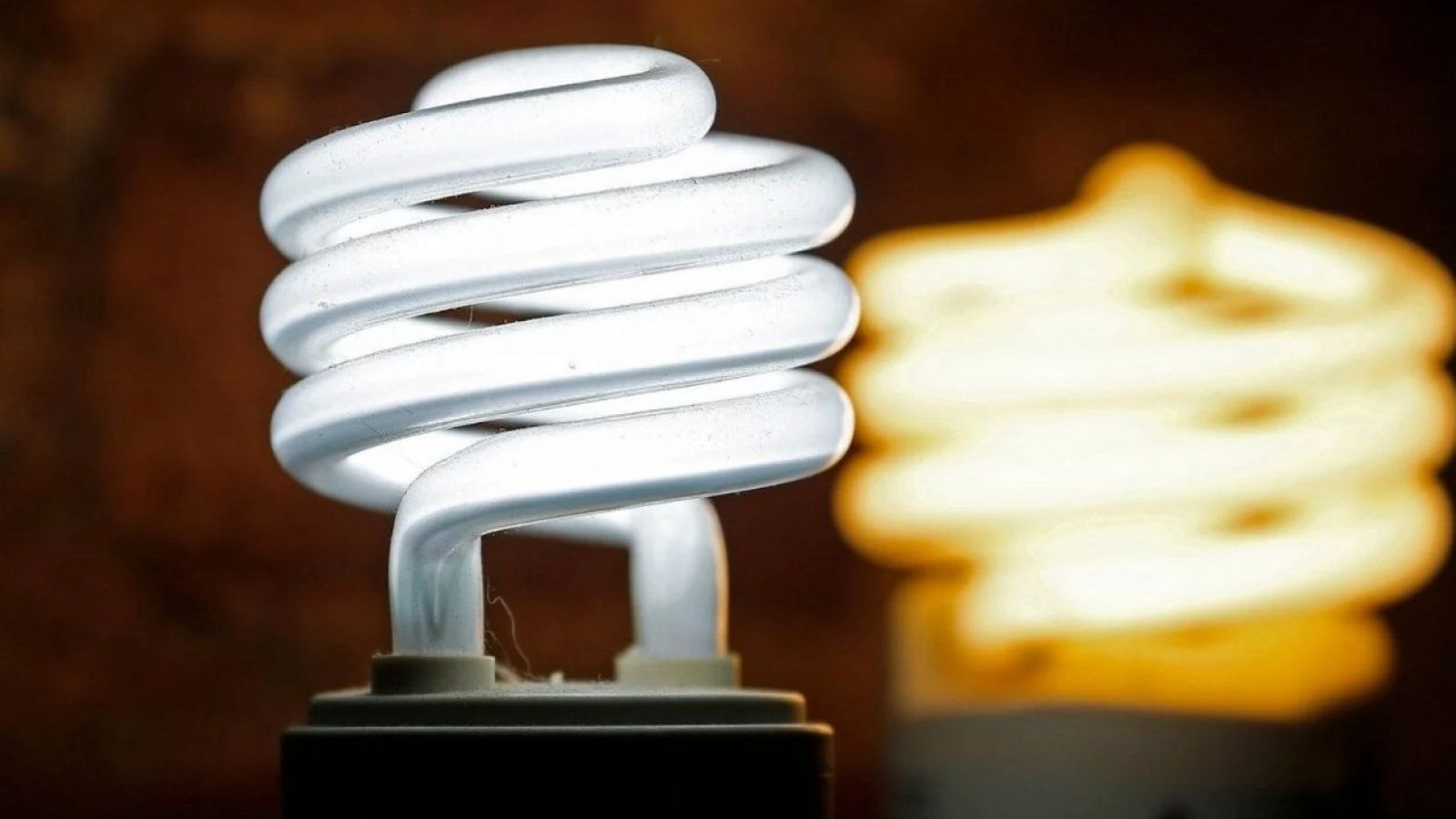 Luz