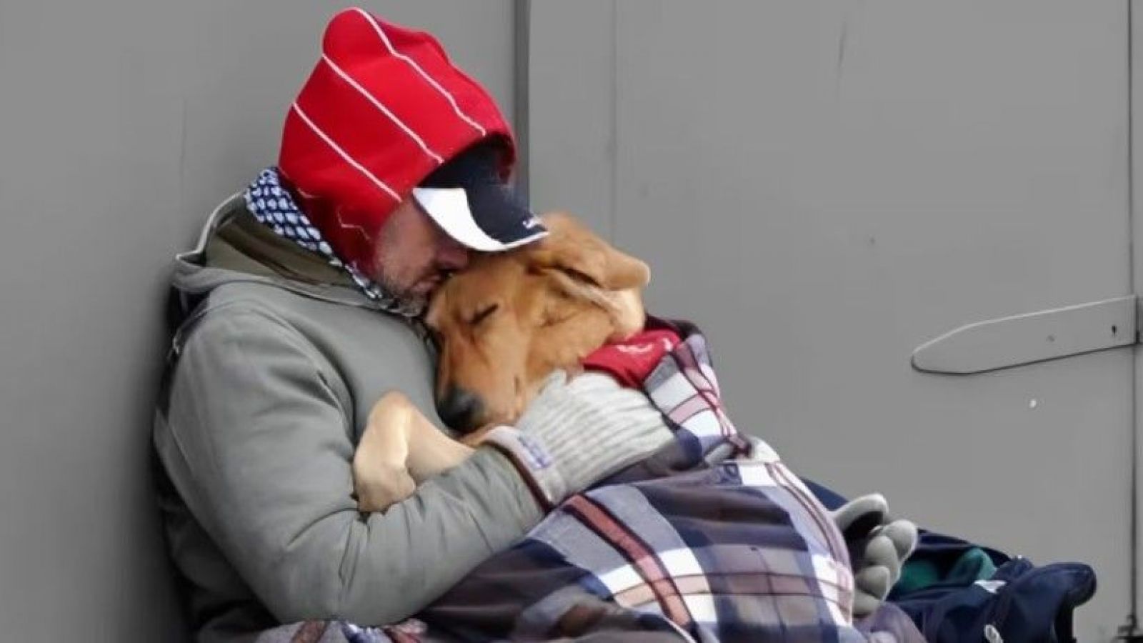 Hombre abrazando a su perro