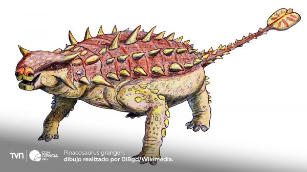 Pinacosaurus grangeri.