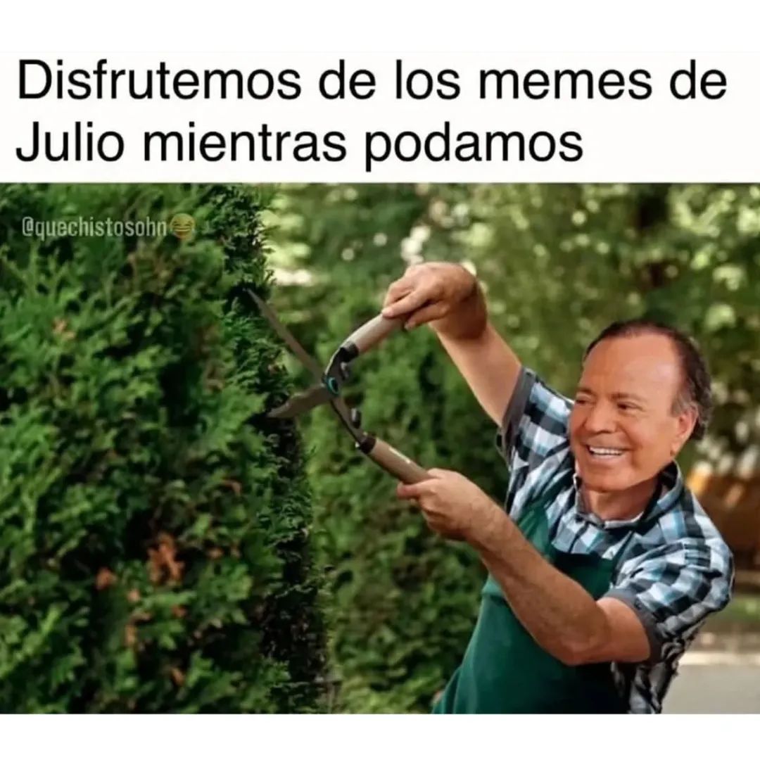 Memes de julio