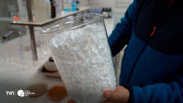 Investigadores de la Universidad de La Serena trabajan en laboratorio en el desarrollo de material de construcción sostenible a partir de plumavit y conchas de ostión.