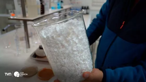 Investigadores de la Universidad de La Serena trabajan en laboratorio en el desarrollo de material de construcción sostenible a partir de plumavit y conchas de ostión.