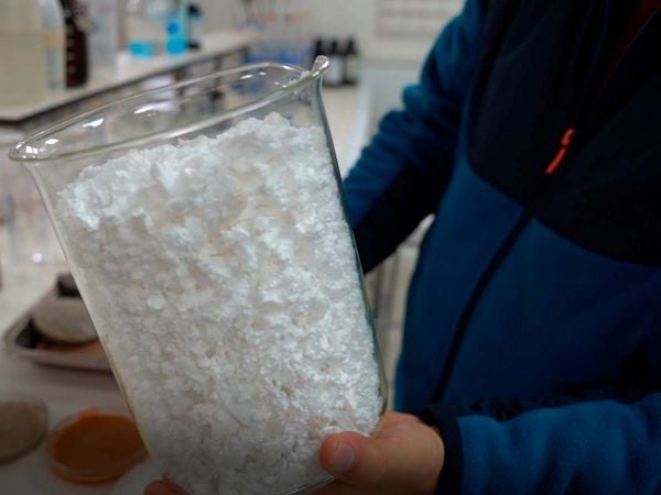 Investigadores de la Universidad de La Serena trabajan en laboratorio en el desarrollo de material de construcción sostenible a partir de plumavit y conchas de ostión.