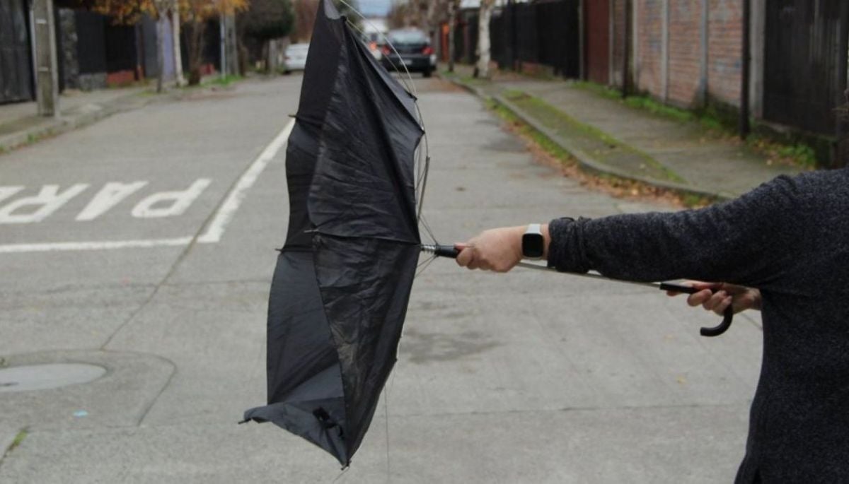 Viento intenso: emiten aviso meteorológico por ráfagas de hasta 70 km/h en cinco regiones del país