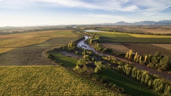 Viña Maquis - Colchague