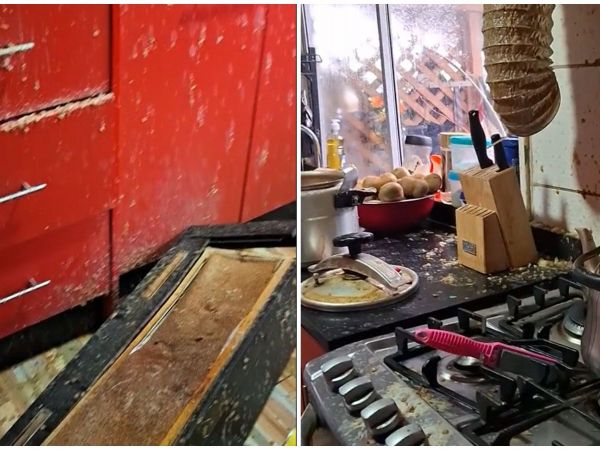 consecuencias explosión de olla a presión