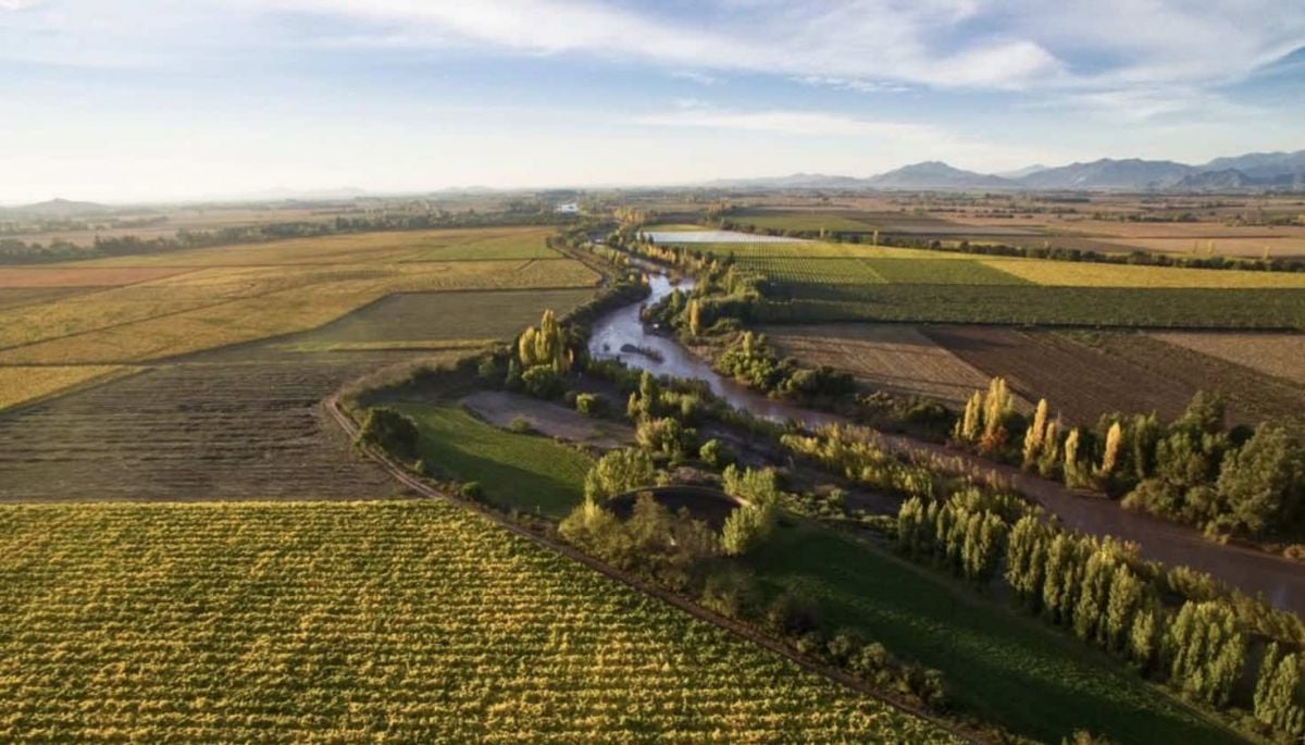 Busco mi destino: escapada soñada al Valle de Colchagua