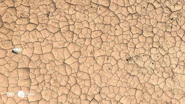 Crítica situación hídrica en Chile central.