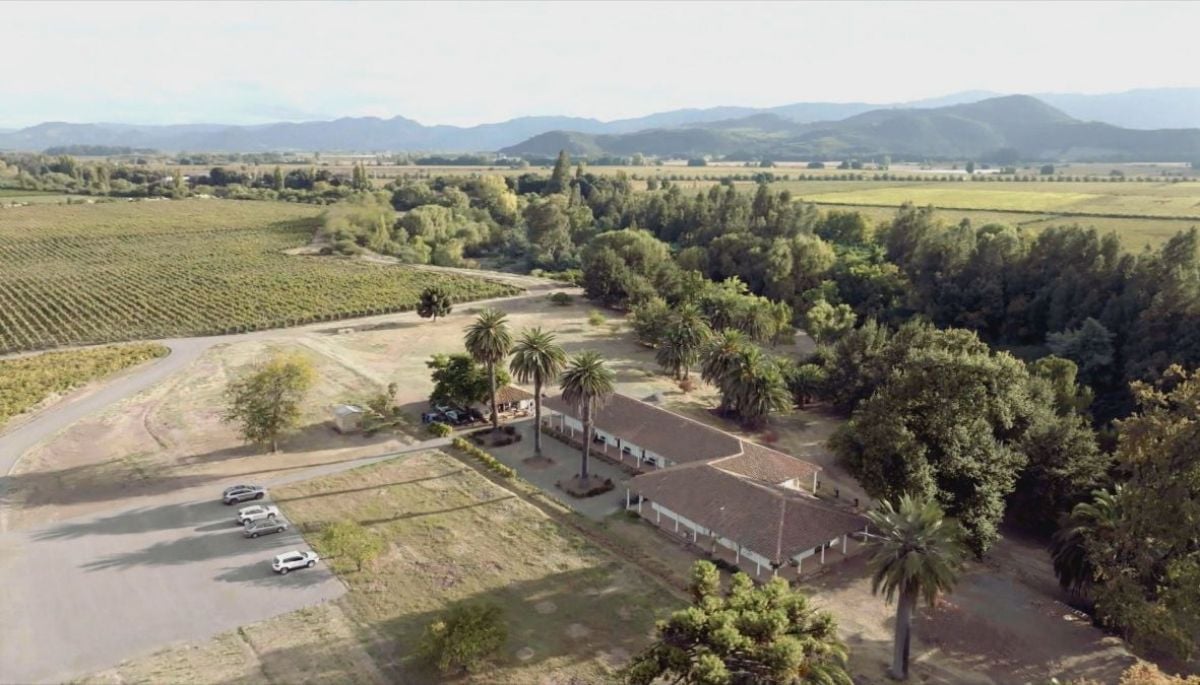 Busco mi destino: Gastronomía, aventura y descanso en el Valle de Colchagua