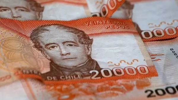 Billetes. Crece Sostenible