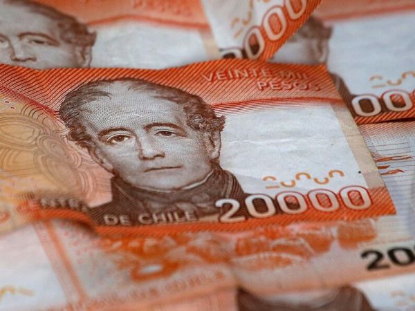 Billetes. Crece Sostenible