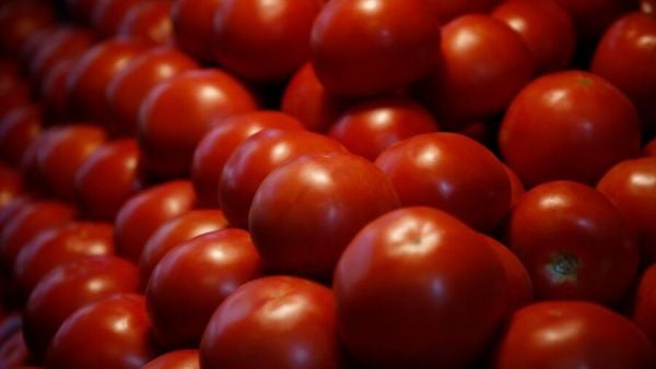 Tomates