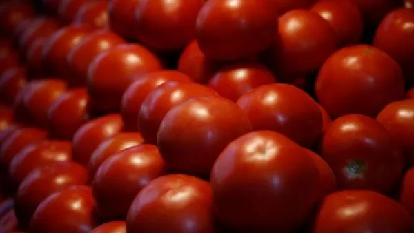 Tomates