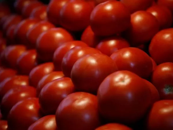 Tomates