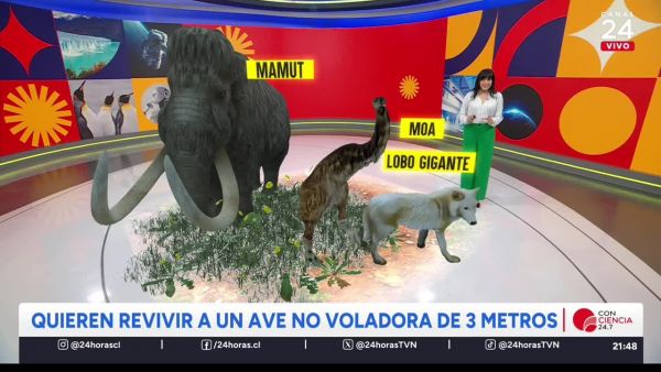 Conciencia 24.7 en 24 Horas: 10 de julio 2025