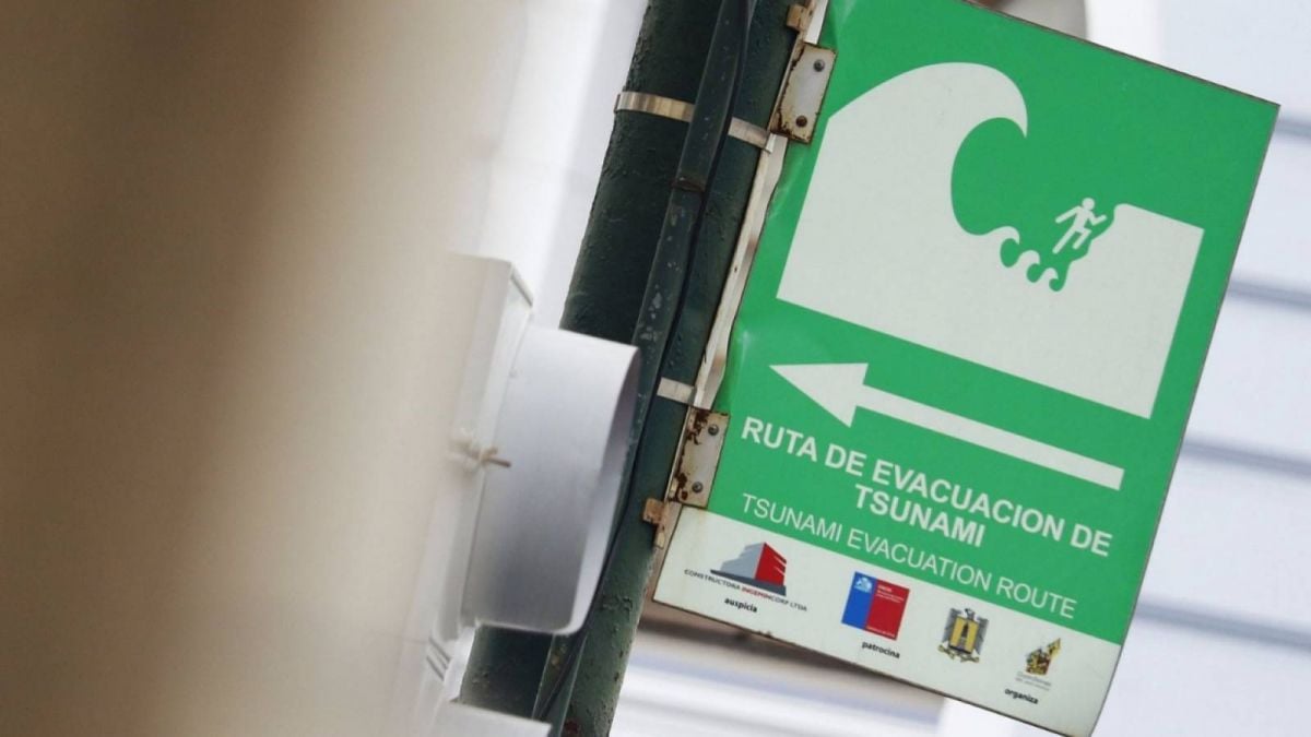 Zoena drums onlyfans leak non-VIPs, she might be okay if