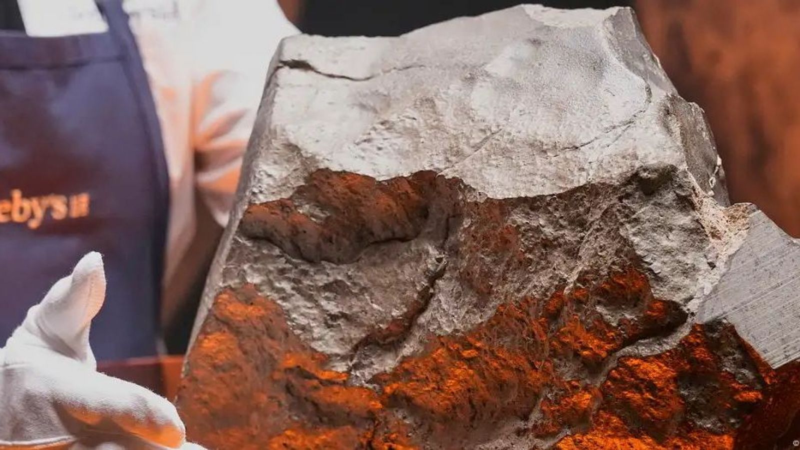 Meteorito marte Tierra será subastado