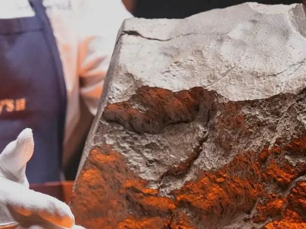 Meteorito marte Tierra será subastado