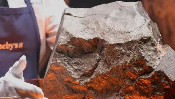 Meteorito marte Tierra será subastado