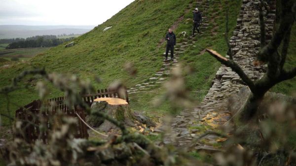 Árbol de Robin Hood en Inglaterra