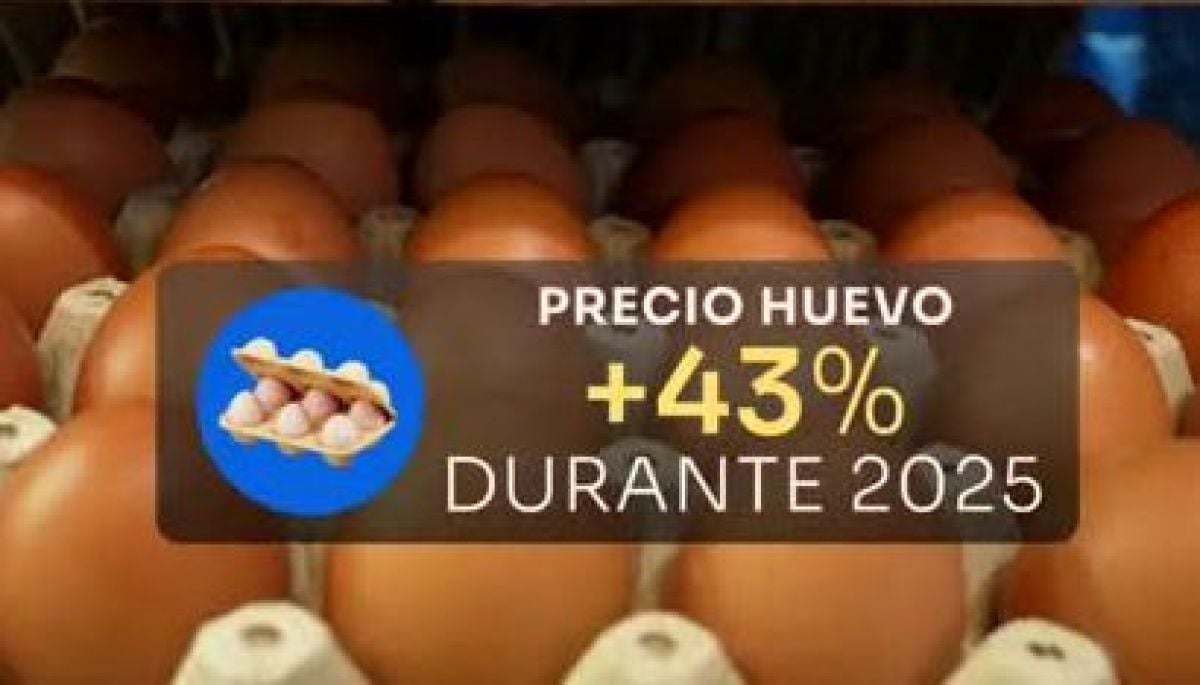Se dispara el precio del huevo en lo que va del año