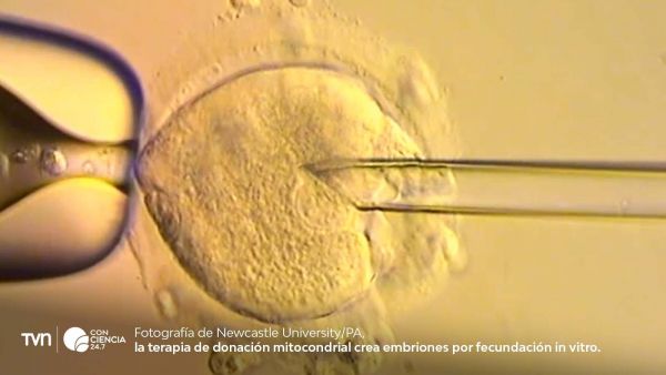 Equipo médico del Reino Unido responsable de la técnica de ADN de tres personas que permitió el nacimiento de ocho bebés sanos.