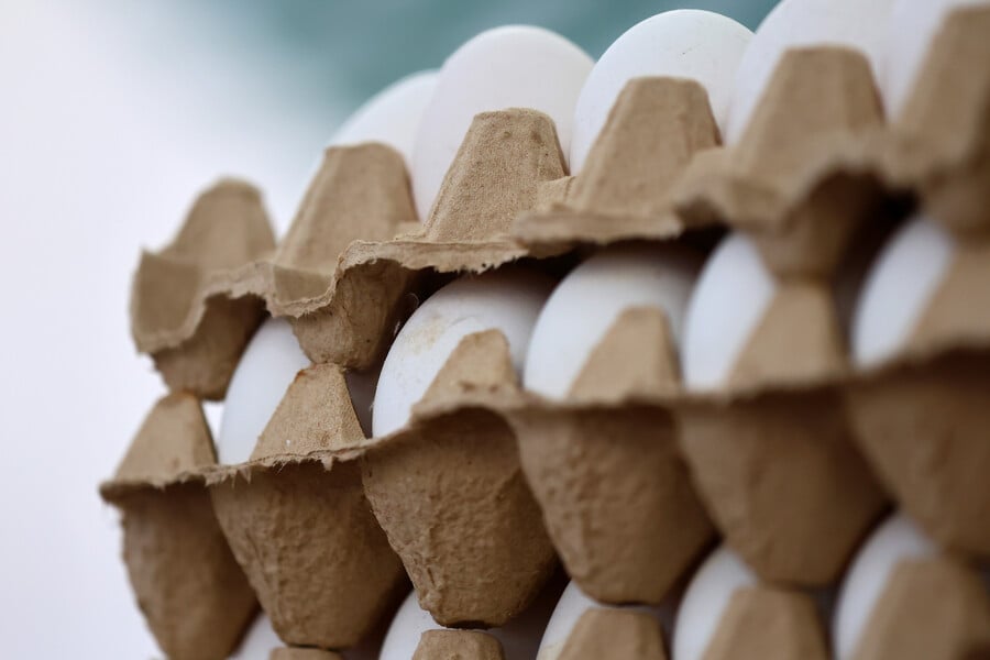 Cajas de huevos