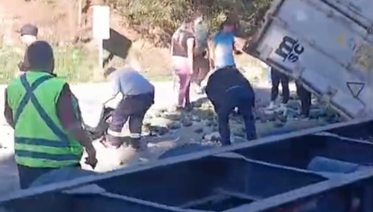 Llegaron antes que Carabineros: registran masivo robo de paltas tras volcamiento de carga de un camión