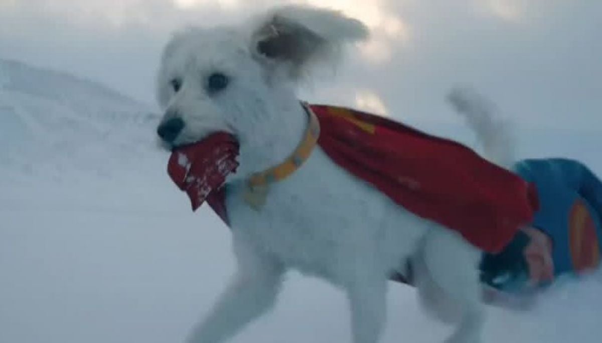Krypto, la verdadera estrella de 