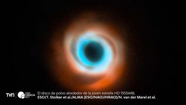 A joint VLT and ALMA view of the disc around the star HD 135344B.