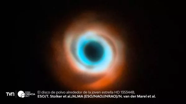 A joint VLT and ALMA view of the disc around the star HD 135344B.