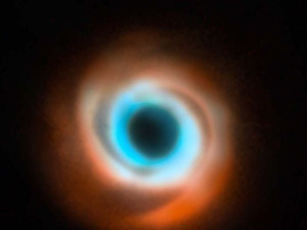 A joint VLT and ALMA view of the disc around the star HD 135344B.