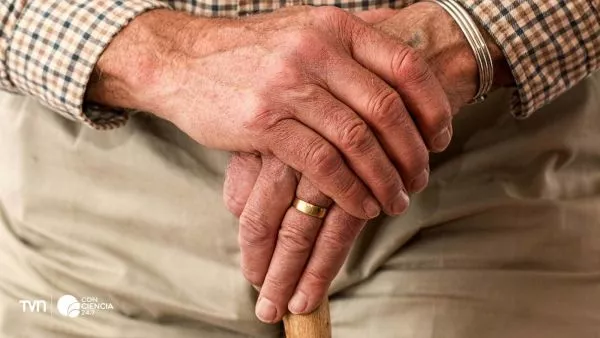 Manos adulto mayor de 55 años.