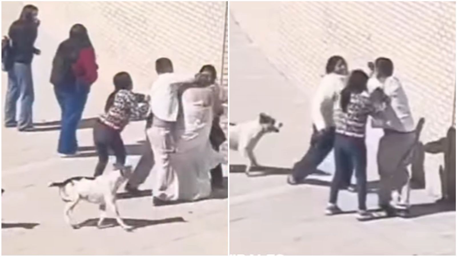 Pelea en Registro Civil de Copiapó.