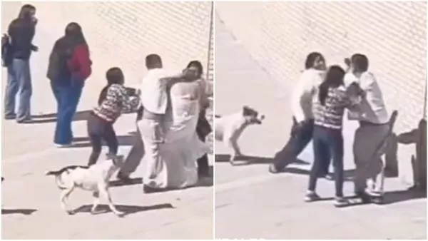 Pelea en Registro Civil de Copiapó.