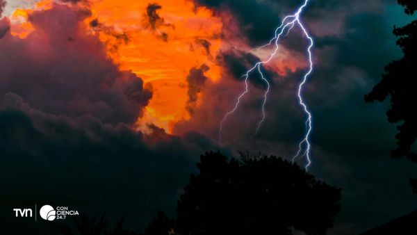 Rayo cayendo sobre un árbol.