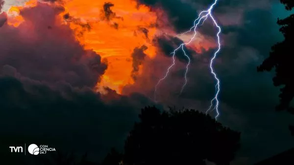 Rayo cayendo sobre un árbol.