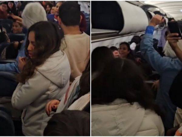 Hámster se pierde en vuelo en Perú