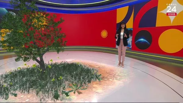 Conciencia 24.7 en 24 Horas: 25 de julio 2025.